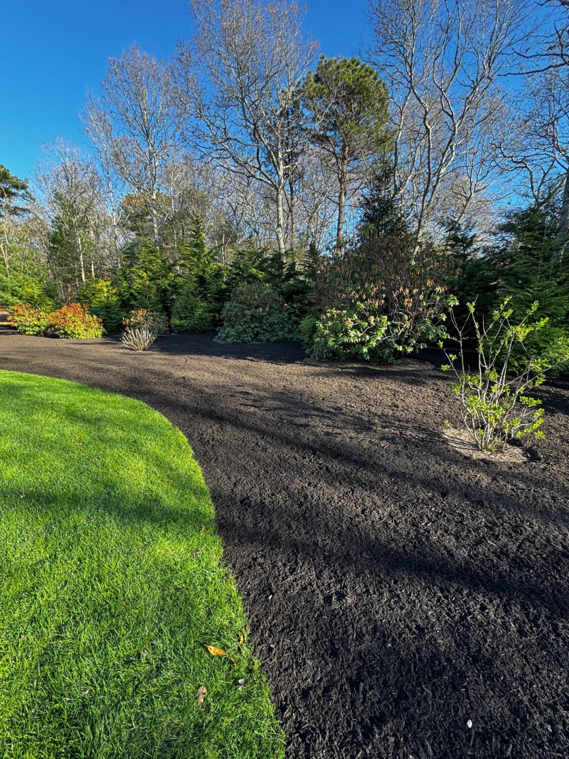 Landscape edging and lawn built by Bridi Masonry in Cape Cod, MA